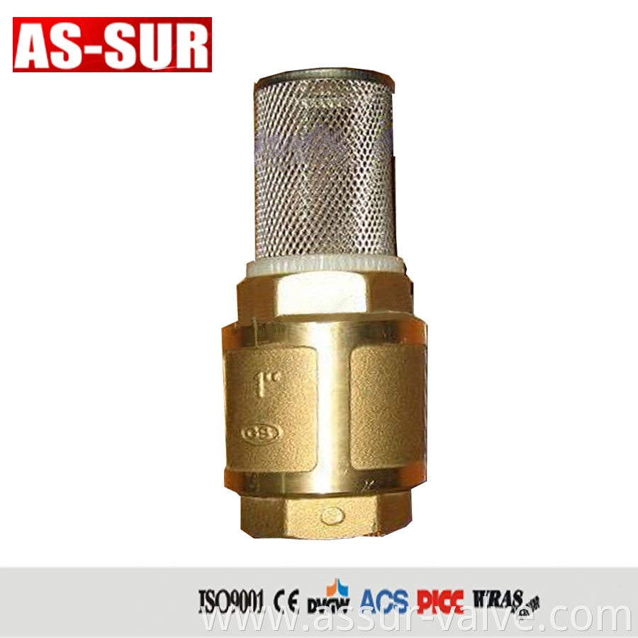 Water Pressure Reducing Non Return Vertical Brass Spring Swing Check Valve